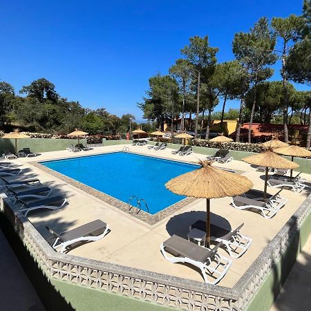 Domaine Des Mimosas Apartment Argeles-sur-Mer Exterior photo